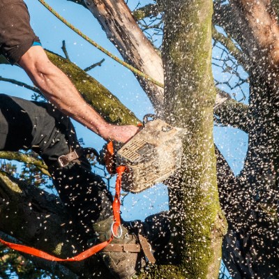 Vente de matériel de jardinage près d'Antoing