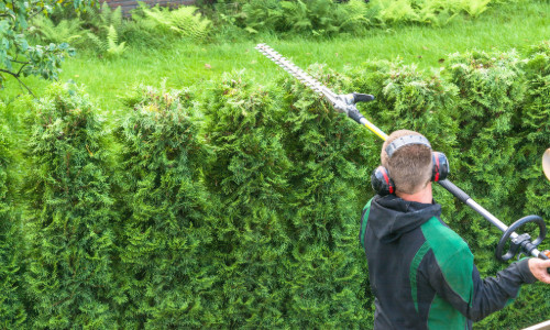 Ventre de matériel de jardinage neuf près de Valenciennes